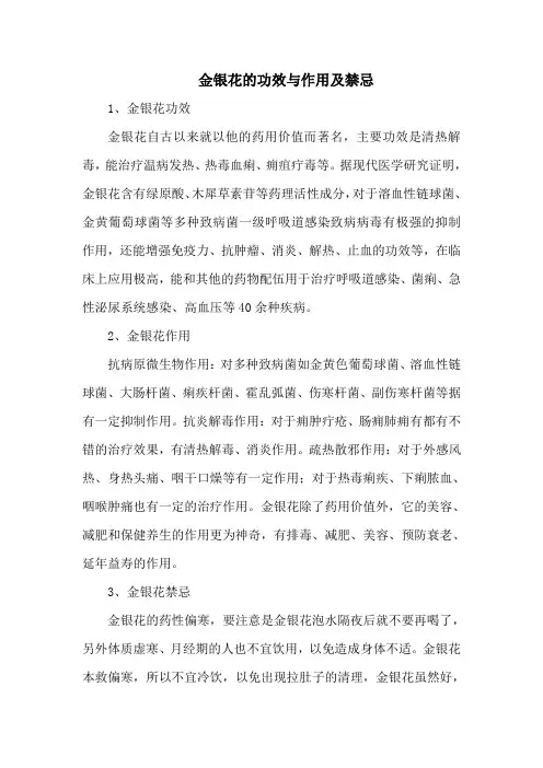 金银花的功效与作用及禁忌
