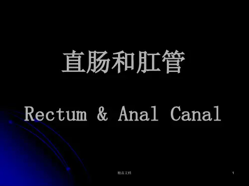 (完整版)直肠解剖.ppt