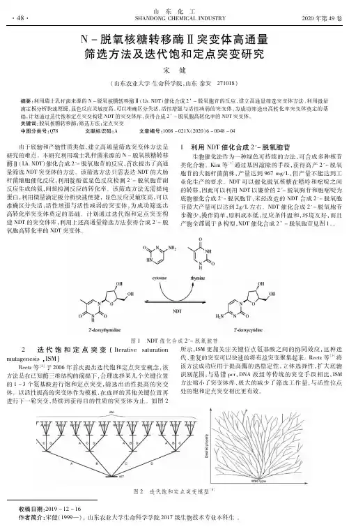 n-脱氧核糖转移酶Ⅱ突变体高通量筛选方法及迭代饱和定点突变研究