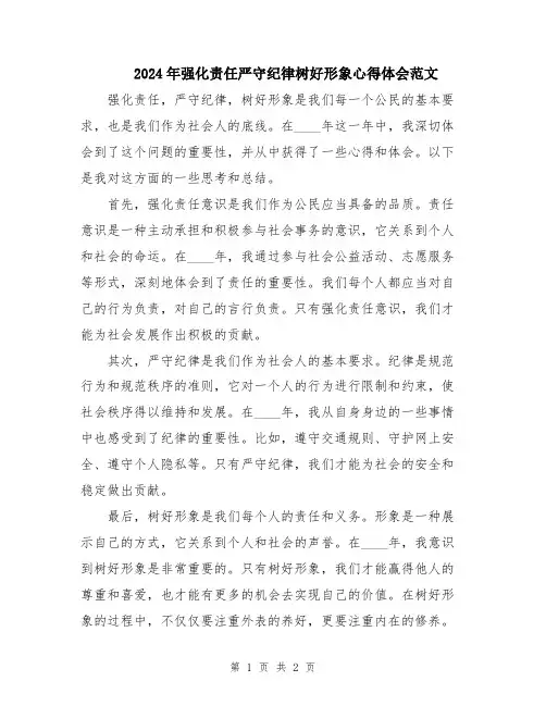 2024年强化责任严守纪律树好形象心得体会范文