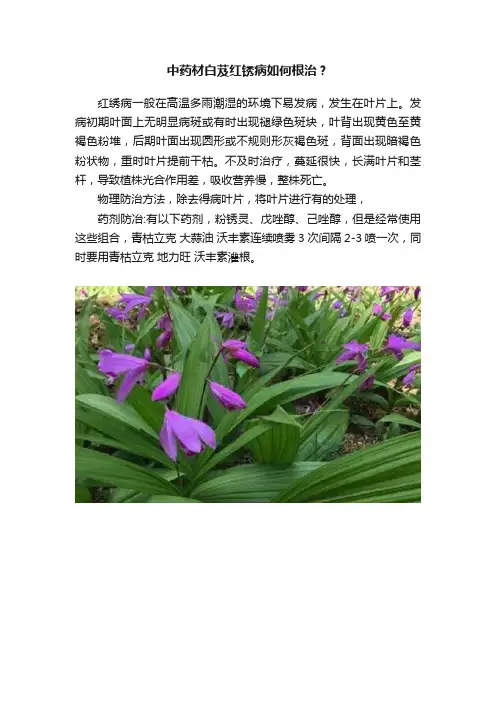 中药材白芨红锈病如何根治？