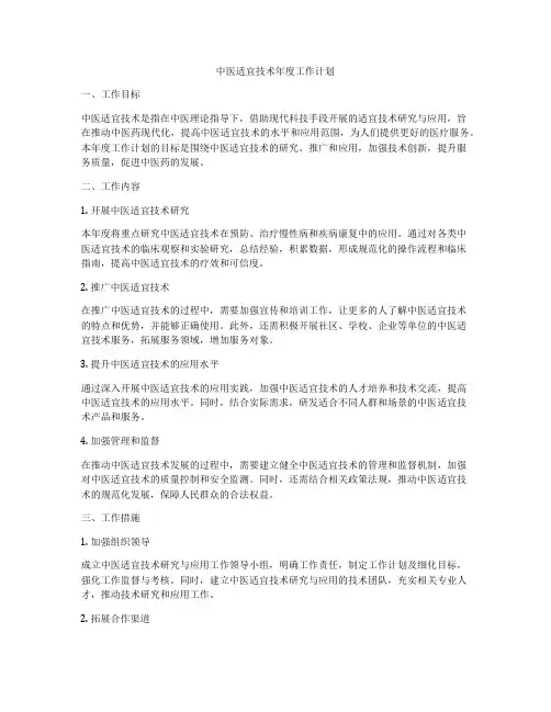 中医适宜技术年度工作计划