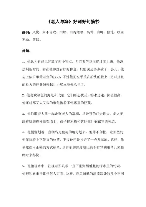 《老人与海》好词好句摘抄