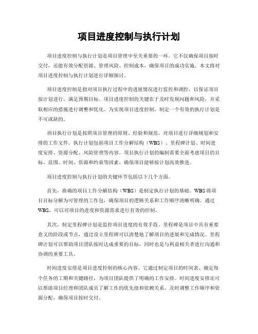 项目进度控制与执行计划