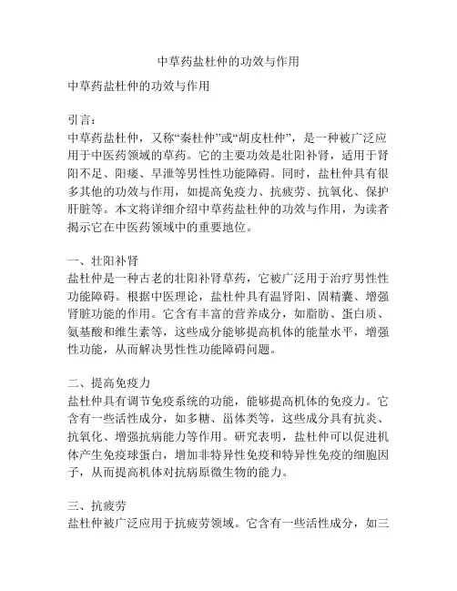 中草药盐杜仲的功效与作用