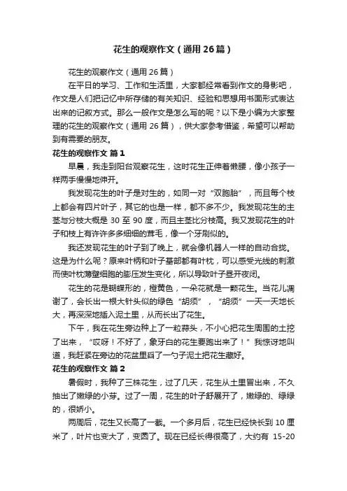 花生的观察作文（通用26篇）