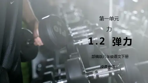 人教版八年级下册物理第一单元《力-弹力》PPT课件