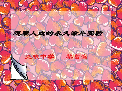 观察人血的永久涂片实验