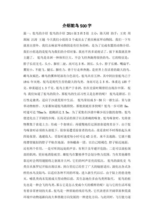 介绍鸵鸟500字