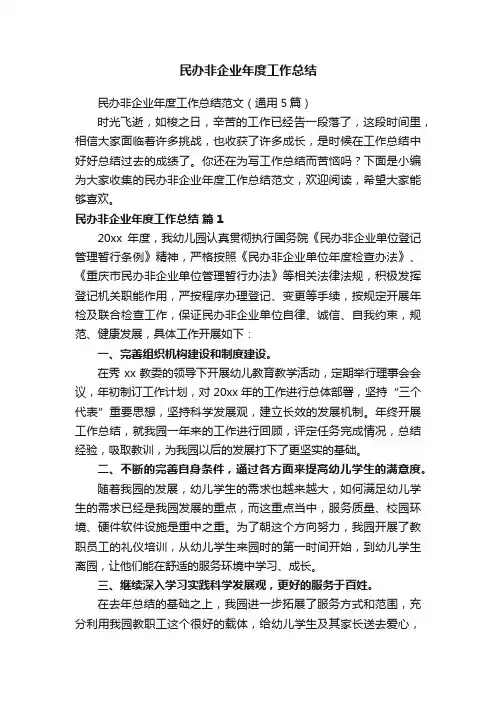 民办非企业年度工作总结范文（通用5篇）