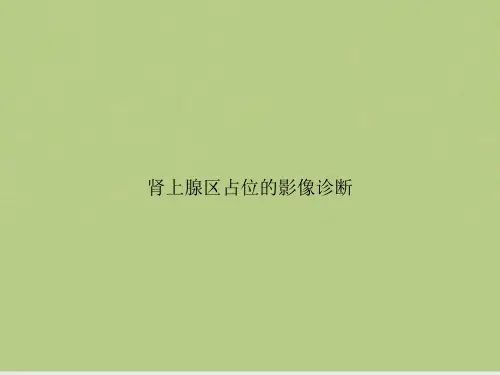 肾上腺区占位的影像诊断