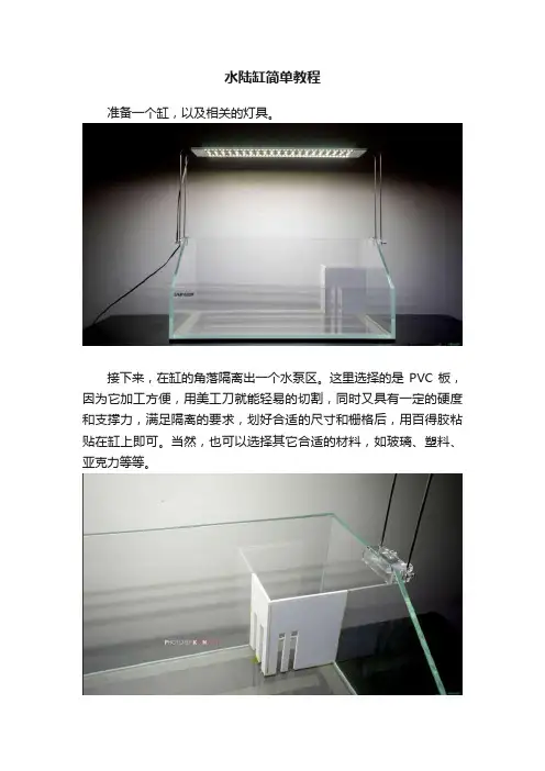 水陆缸简单教程