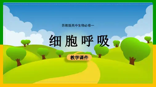 高中生物苏教版必修一《细胞呼吸》课件