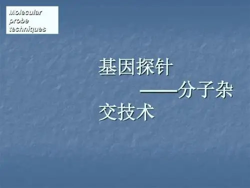 基因探针分子杂交技术ppt课件