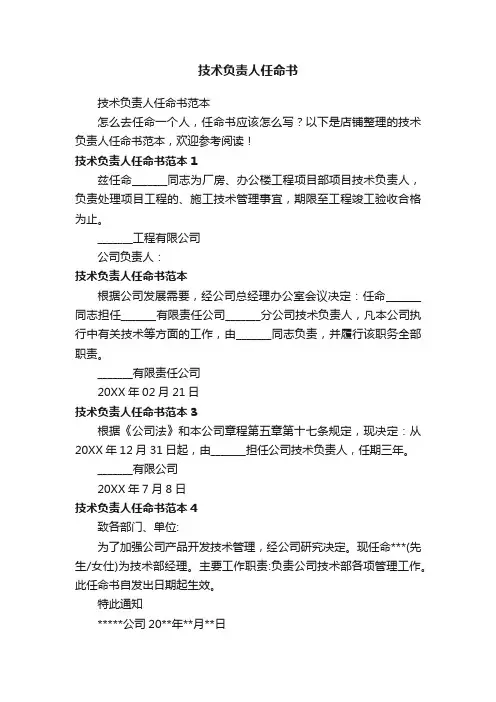 技术负责人任命书