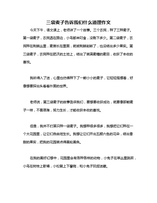 三袋麦子告诉我们什么道理作文