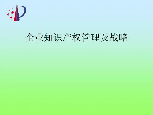 企业知识产权管理及战略ppt课件