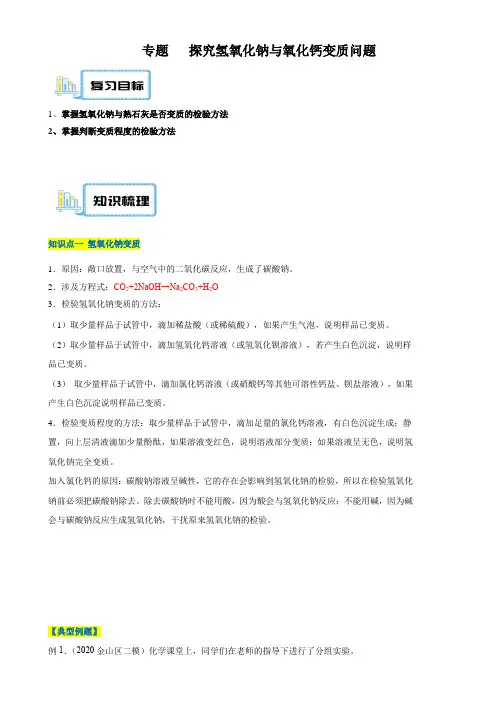 专题16 探究氢氧化钠与氧化钙变质问题-中考化学重难点复习精讲精练(上海专用)(解析版)