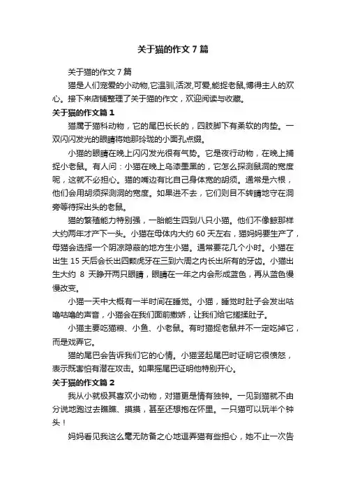 关于猫的作文7篇