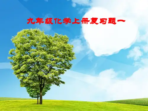 九年级化学(上册)复习题