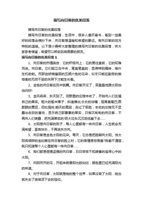描写向日葵的优美段落