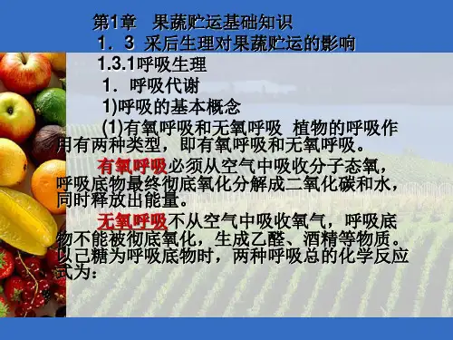 1.3采后生理对果蔬贮运的影响课件