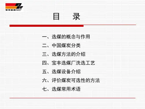 洗煤厂工艺课件