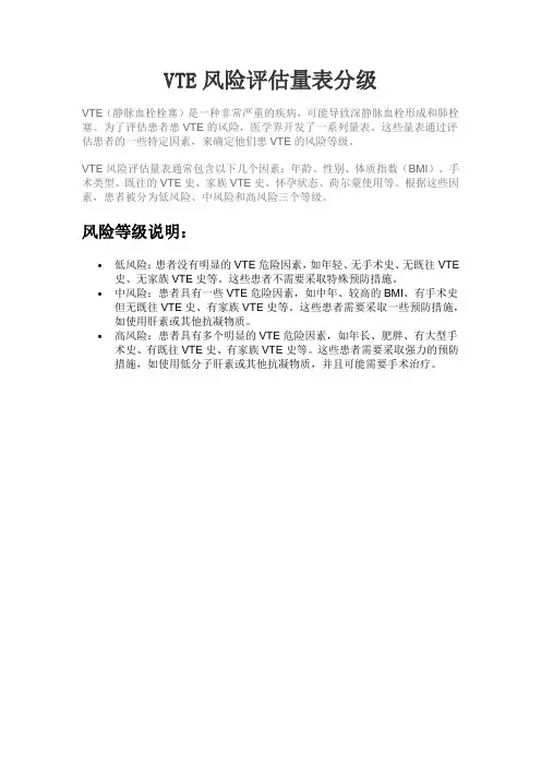 vte风险评估量表分级