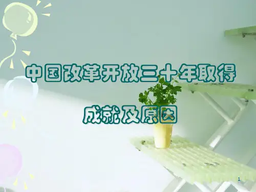 中国改革开放三十年的成就与原因ppt课件