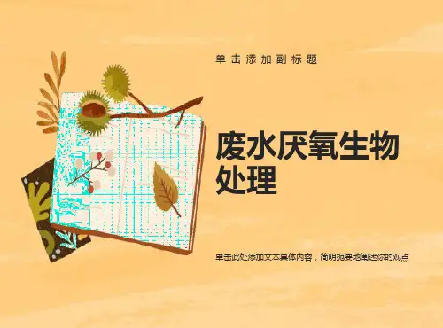 废水厌氧生物处理原理与工艺