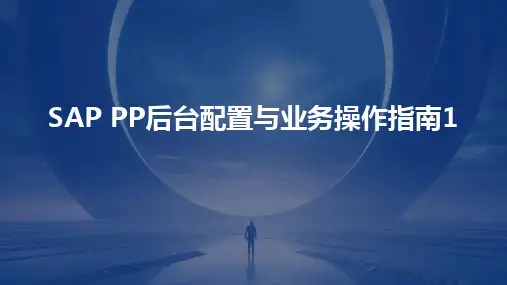 SAP PP后台配置与业务操作指南1