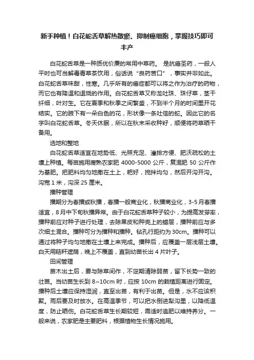 新手种植！白花蛇舌草解热散瘀、抑制癌细胞，掌握技巧即可丰产