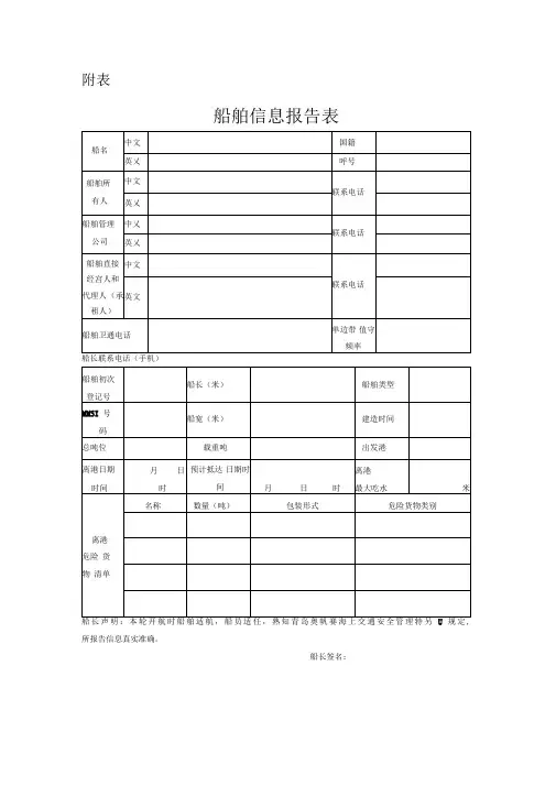 船舶信息报告表