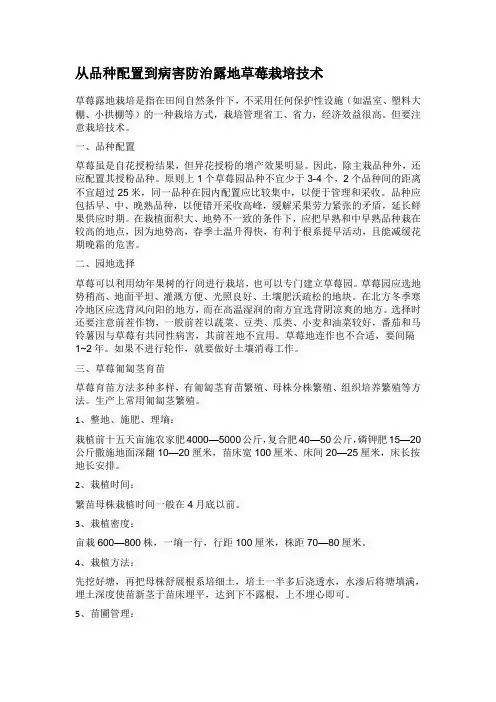 从品种配置到病害防治露地草莓栽培技术