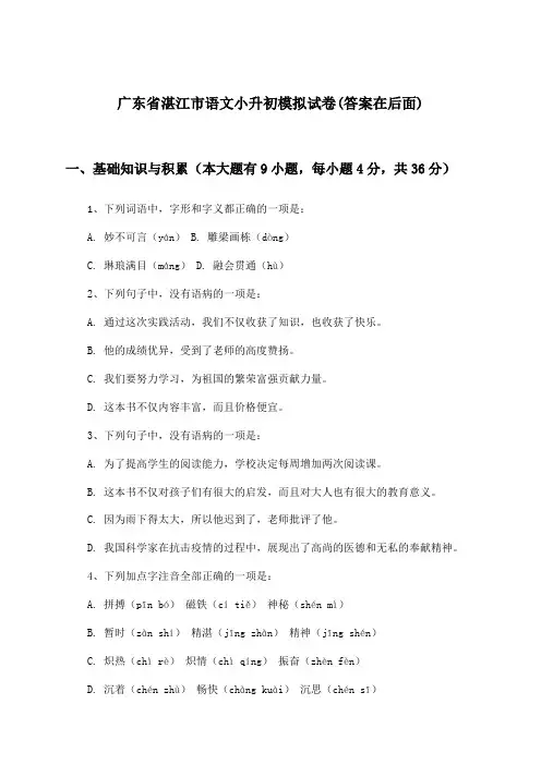 广东省湛江市语文小升初试卷及答案指导