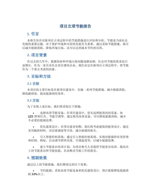 项目立项节能报告