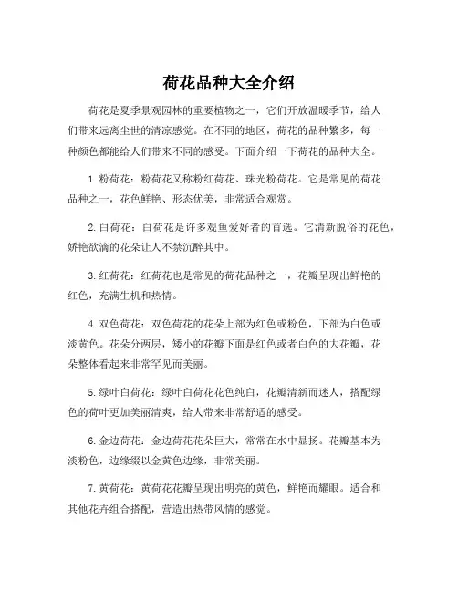 荷花品种大全介绍