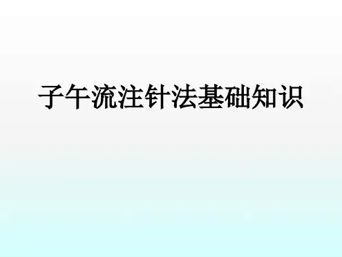 子午流注针法基础知识ppt课件