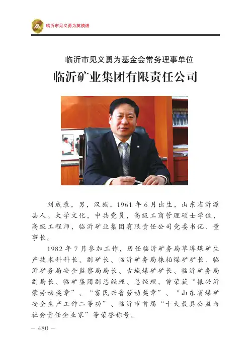 临沂矿业集团有限责任公司