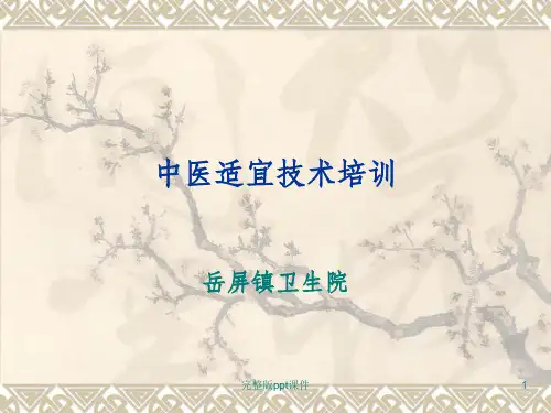 中医适宜技术培训完整ppt课件
