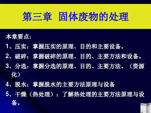 固体废物的处理【2024版】