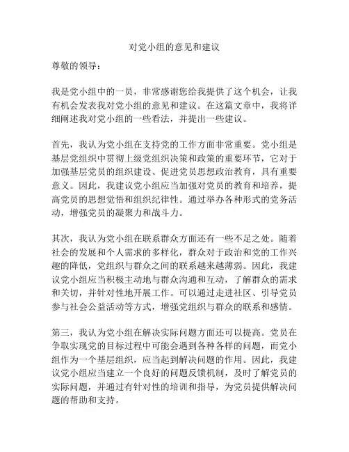 对党小组的意见和建议