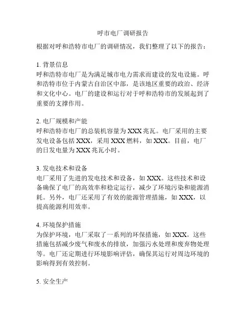 呼市电厂调研报告