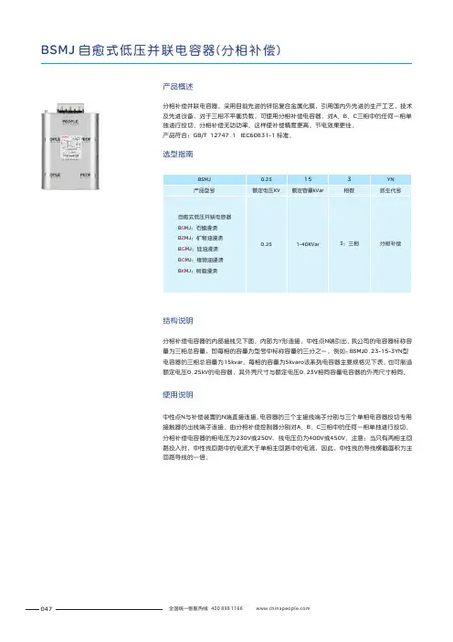 人民电器 BSMJ分相补偿并联电容器 产品说明书