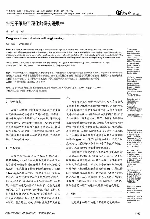 神经干细胞工程化的研究进展
