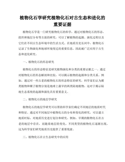 植物化石学研究植物化石对古生态和进化的重要证据