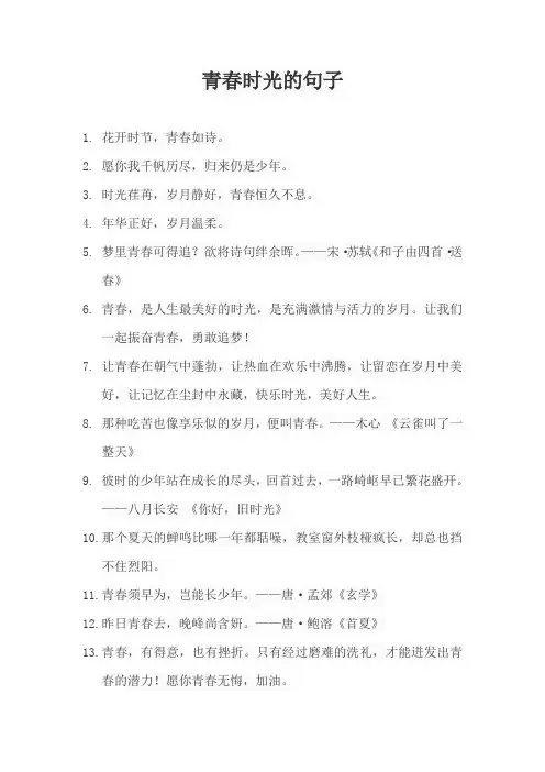 青春时光的句子
