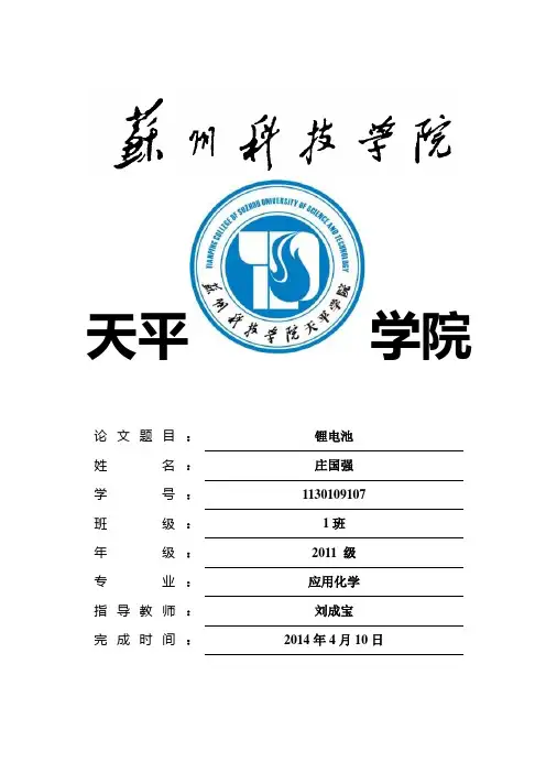 锂电池小论文汇总
