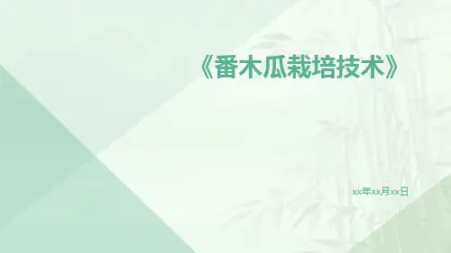 番木瓜栽培技术
