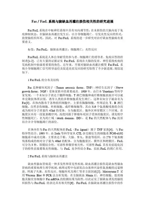 Fas／FasL系统与脑缺血再灌注损伤相关性的研究进展